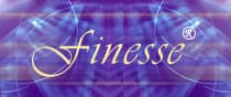 Finesse ERP