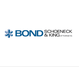 Bond Schoeneck & King PLLC