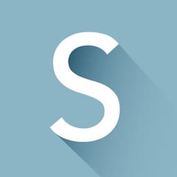 Sidley Austin LLP